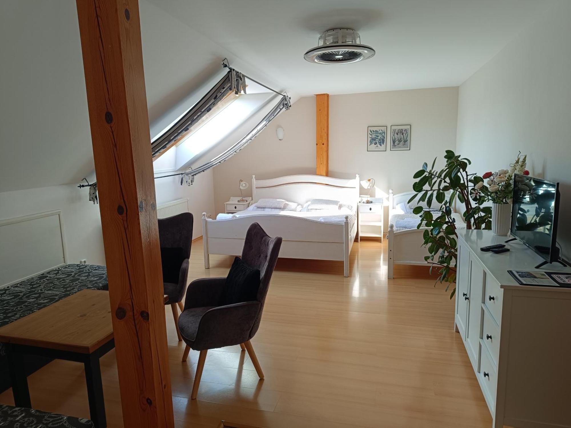 Penzion V Podzámčí Litomyšl Exterior foto