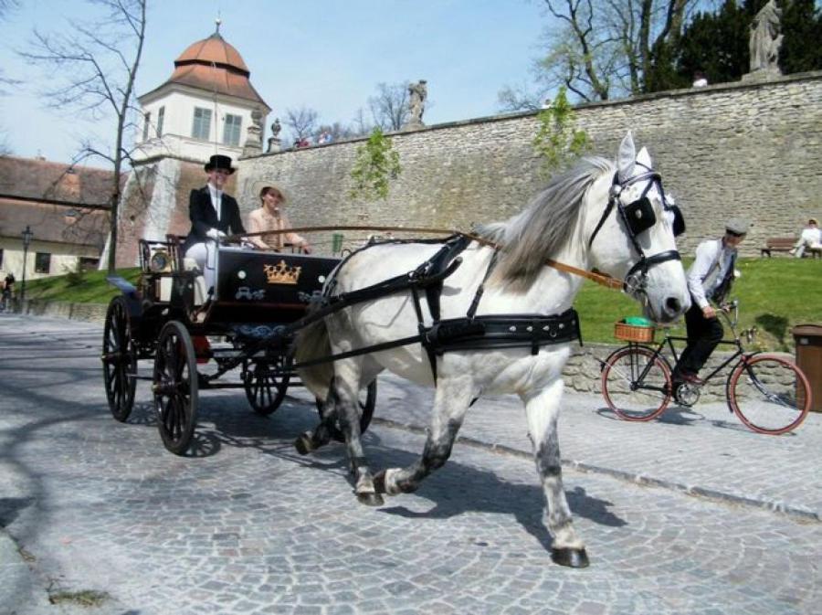 Penzion V Podzámčí Litomyšl Exterior foto